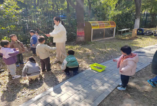 小（1）班捡树枝啦