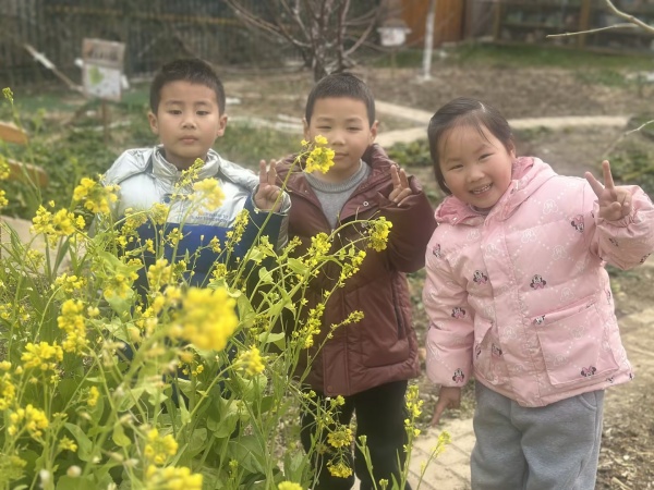 大6班：看菜花