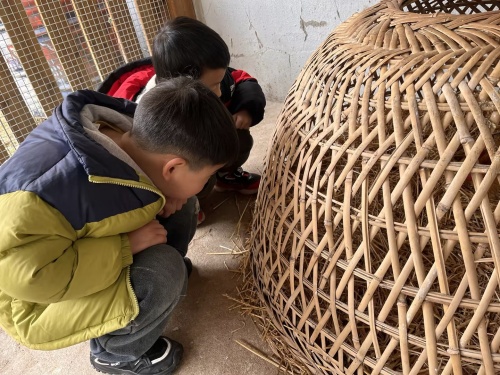 新惠园中2班：有趣的生态农场