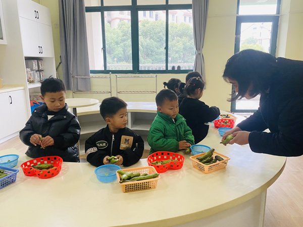 小4班：剥蚕豆