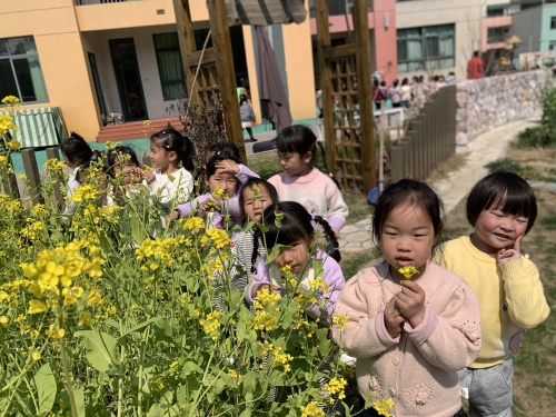 小3班 我和春天的合影！