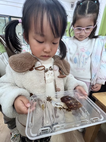 中6班：有趣的小蜗牛