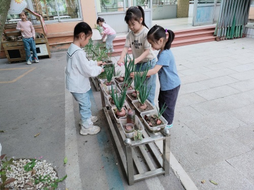新惠园中2班：有趣的厨房游戏