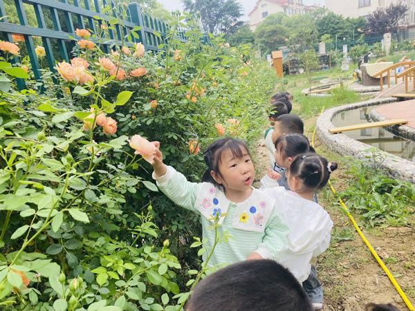 小4班：花我对我笑